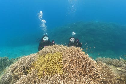 Okinawa: Discover SCUBA Diving 1 Dive at Minna, Sesoko or Motobu