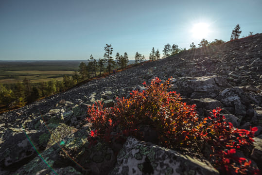 Land of the Midnight Sun
