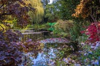 Giverny, Louvre and Wine Tasting with Private Pick Up and Drop 6