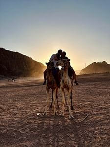 Sharm El Sheikh: ATV, Camel Ride with BBQ Dinner and Show