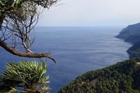 Full-Day Mallorca Caves Tour: Drach, Hams & Pearl Factory Visit 6