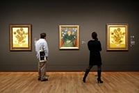 Van Gogh Museum Tour excluding Entrance Tickets 2