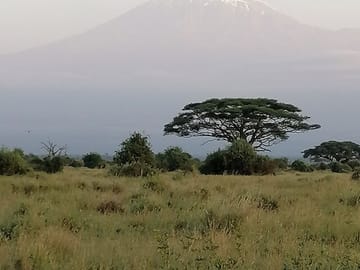 View of the kilimanjaro