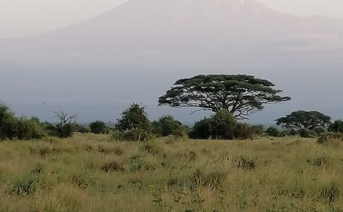 Private 6-Day Wildlife Photography Tour from Nairobi