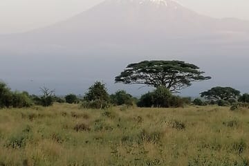 Private 6-Day Wildlife Photography Tour from Nairobi