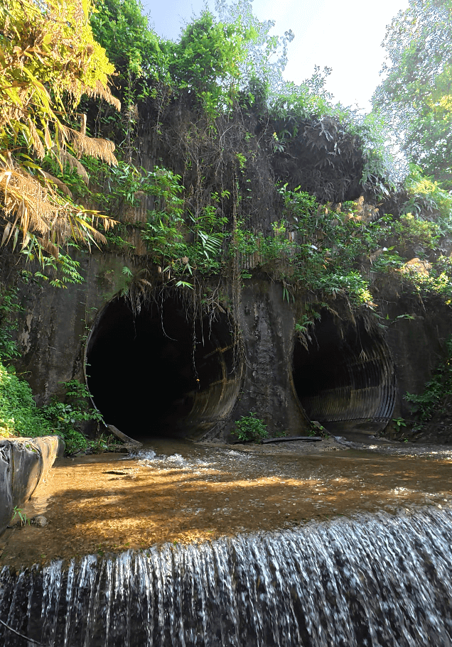 Twin concrete drainage tunnels surrounded by dense jungle vegetation with a shallow stream and small cascading waterfall in the foreground.