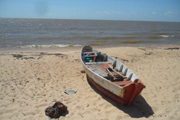 Explore Marajó Island: 2-Day Cultural and Nature Tour