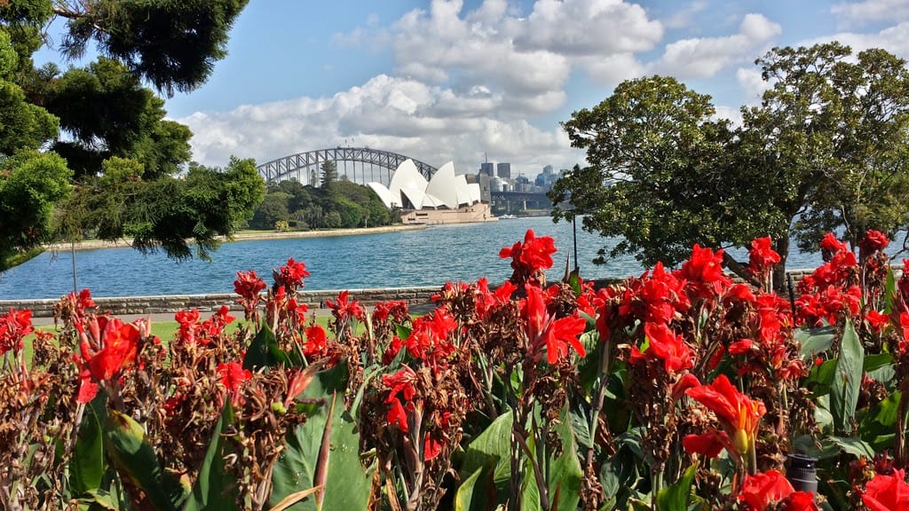 Sydney Private Full-Day Tour: Opera House, Bondi Beach & Gems 7