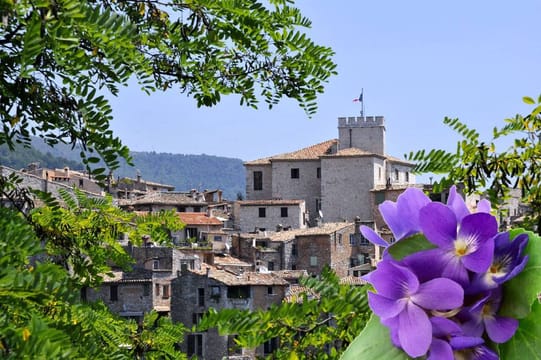 Countryside Half Day Private Tour