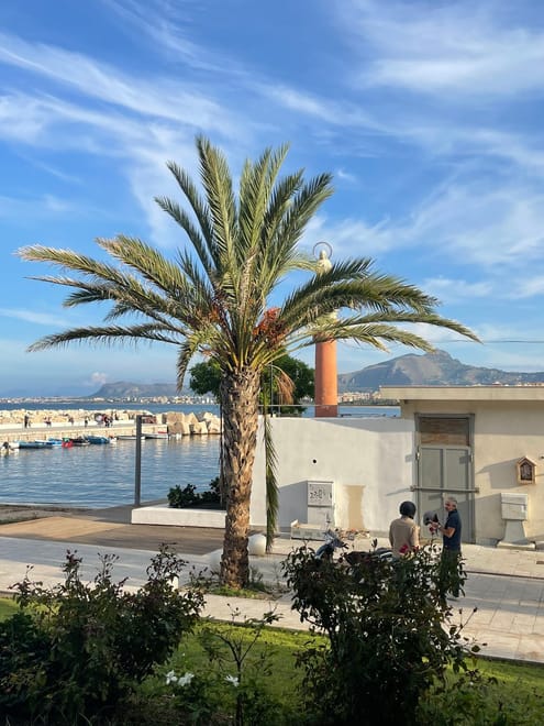 Palermo: Small-Group Walking Tour with Local Guide 5