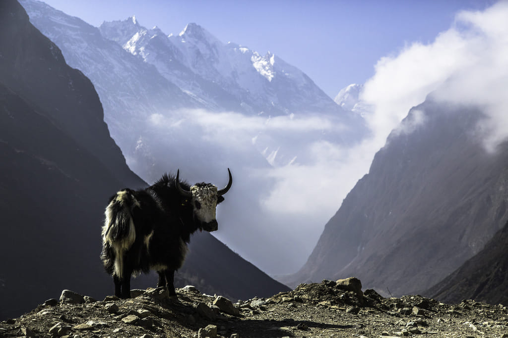 19 Days Mera Peak Climbing & Expedition – One Life-Changing Himalayan Adventure