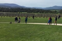 The stunning Yarra Valley Wine Region