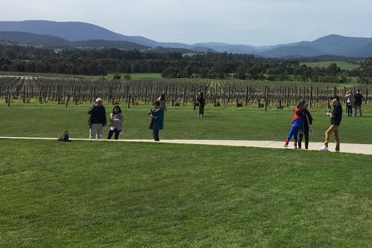 Scenic Private Yarra Valley Wine Tour 