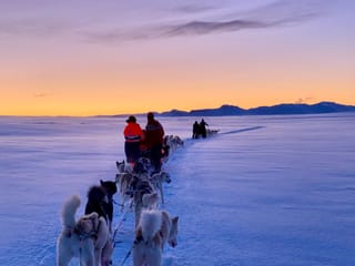 Dog Sledding Near Reykjavik , photo 15