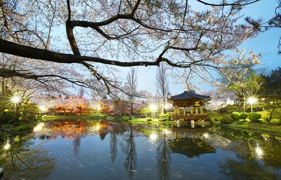 5 Day Private from Busan to Seoul,Gyeongju,Tongyeong, Boseong Green Tea Field