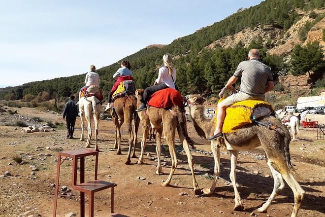 Marrakech to Atlas Mountains and 4 Valleys Day Trip 5