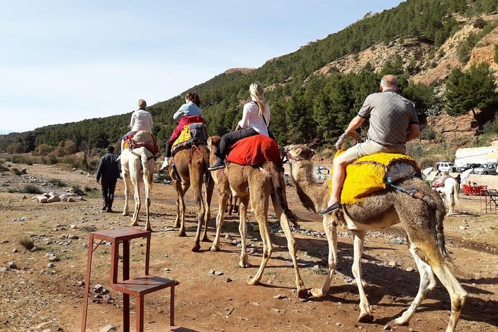 Marrakech to Atlas Mountains and 4 Valleys Day Trip 5