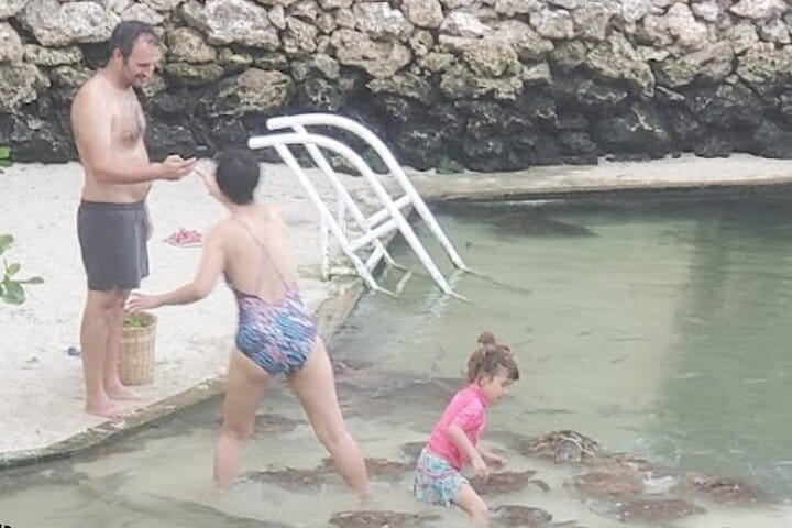 Explore Stone Town and Jozani Forest with Turtles Zanzibar