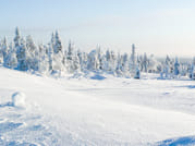 Active Family Day Adventure - Rovaniemi 3