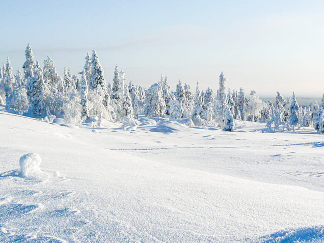 Active Family Day Adventure - Rovaniemi photo 3