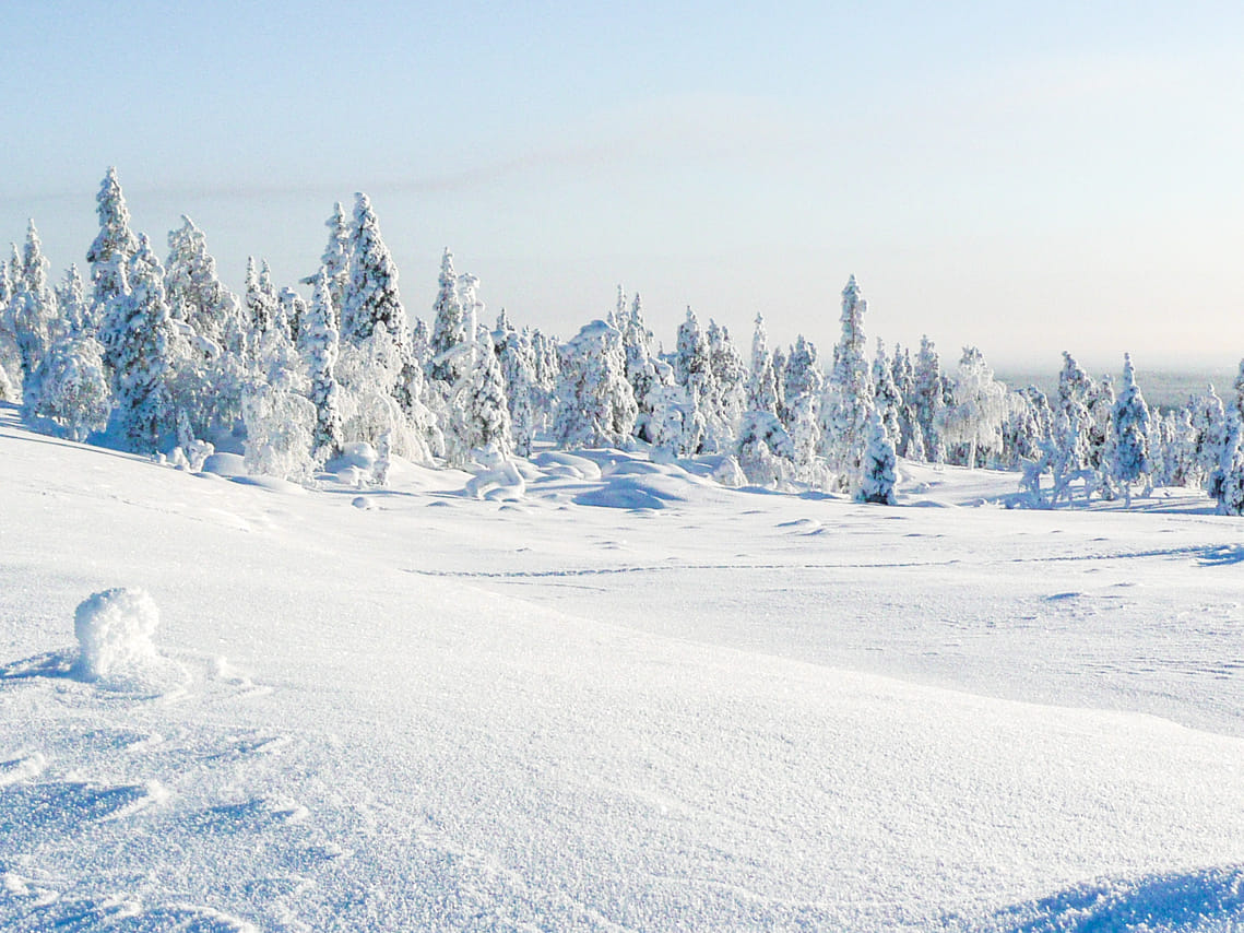Active Family Day Adventure - Rovaniemi 3