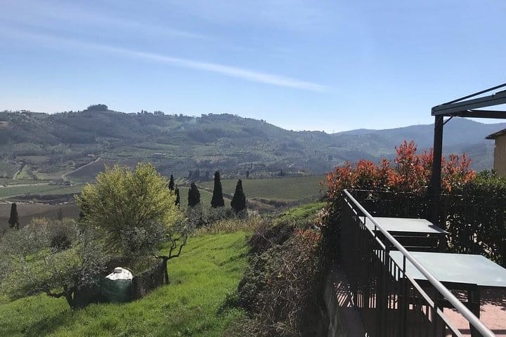 Exclusive Private Carmignano Experience: The First Cabernet Sauvignon in Tuscany 10
