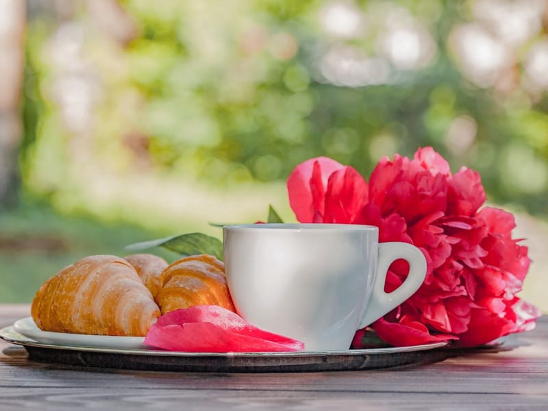 Luoyang Water Banquet or Peony Pastry Making with English Guide