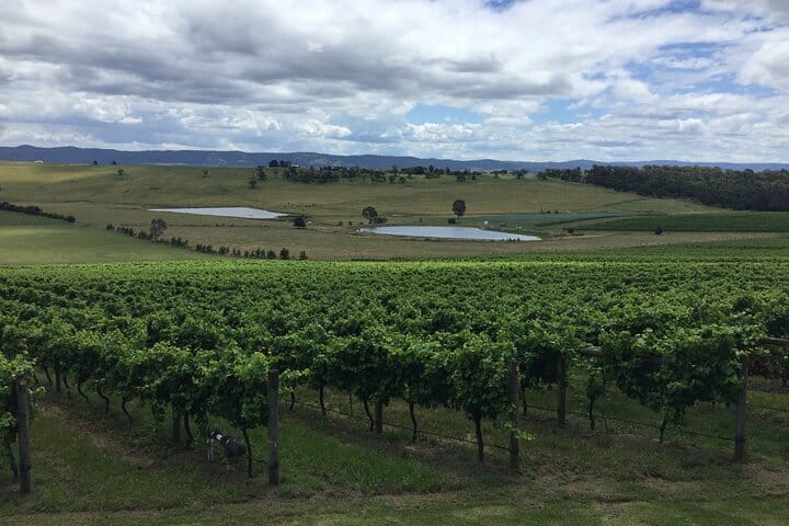 Scenic Private Yarra Valley Wine Tour  9