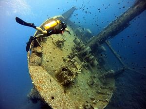 Private Scuba Dives in the Hidden Miracles of Red Sea
