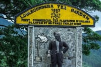 James Taylor Tea Estate from Kandy 2