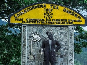 James Taylor Tea Estate Tour from Kandy to Rikillagaskada