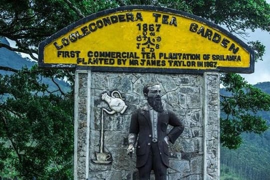 James Taylor Tea Estate From Kandy