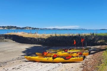 Browns Island Motukorea Sea Kayak Tour