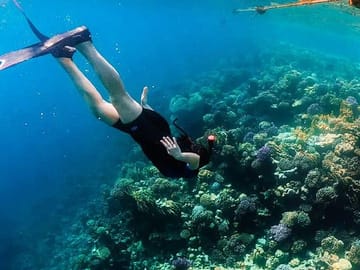 Sharm El Naga Snorkeling Trip from Hurghada – Coral Reef & Beach Relaxation