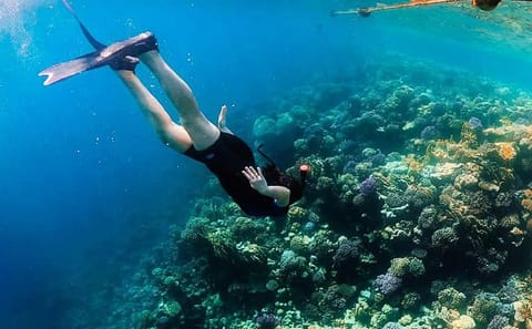 Snorkeling Adventure at Sharm El-Naga from Hurghada