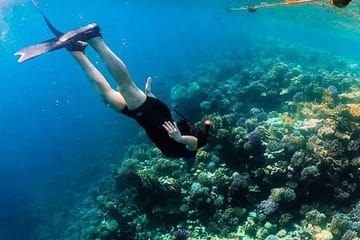 Snorkeling Adventure at Sharm El-Naga from Hurghada