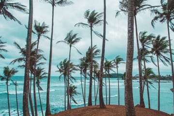 05 Nights/06 Days Beach & Safari Tour