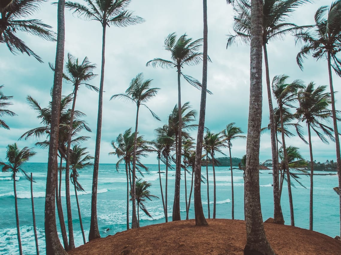 05 Nights/06 Days Beach & Safari Tour 4