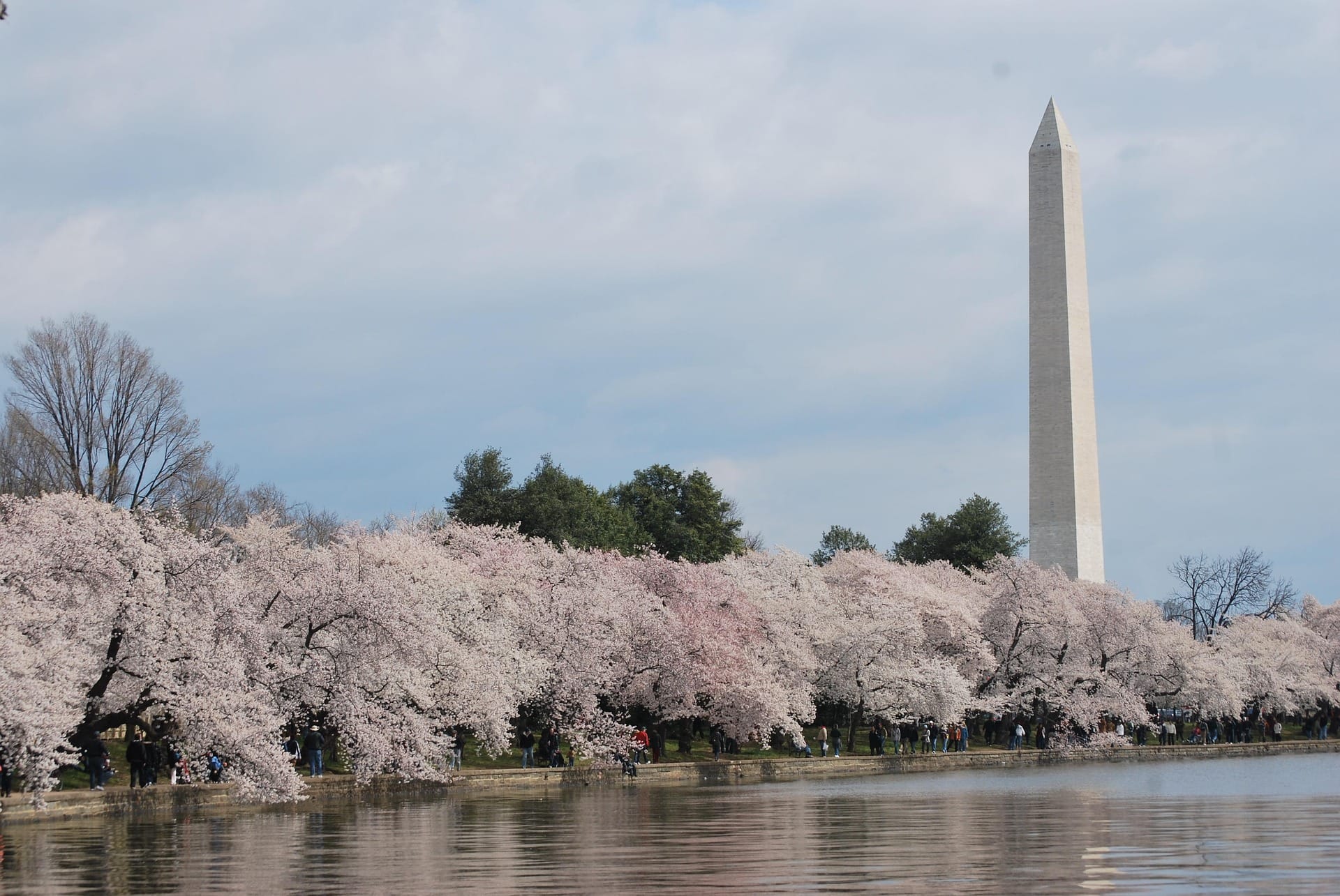 Best Time to Visit Washington DC for Group Tours