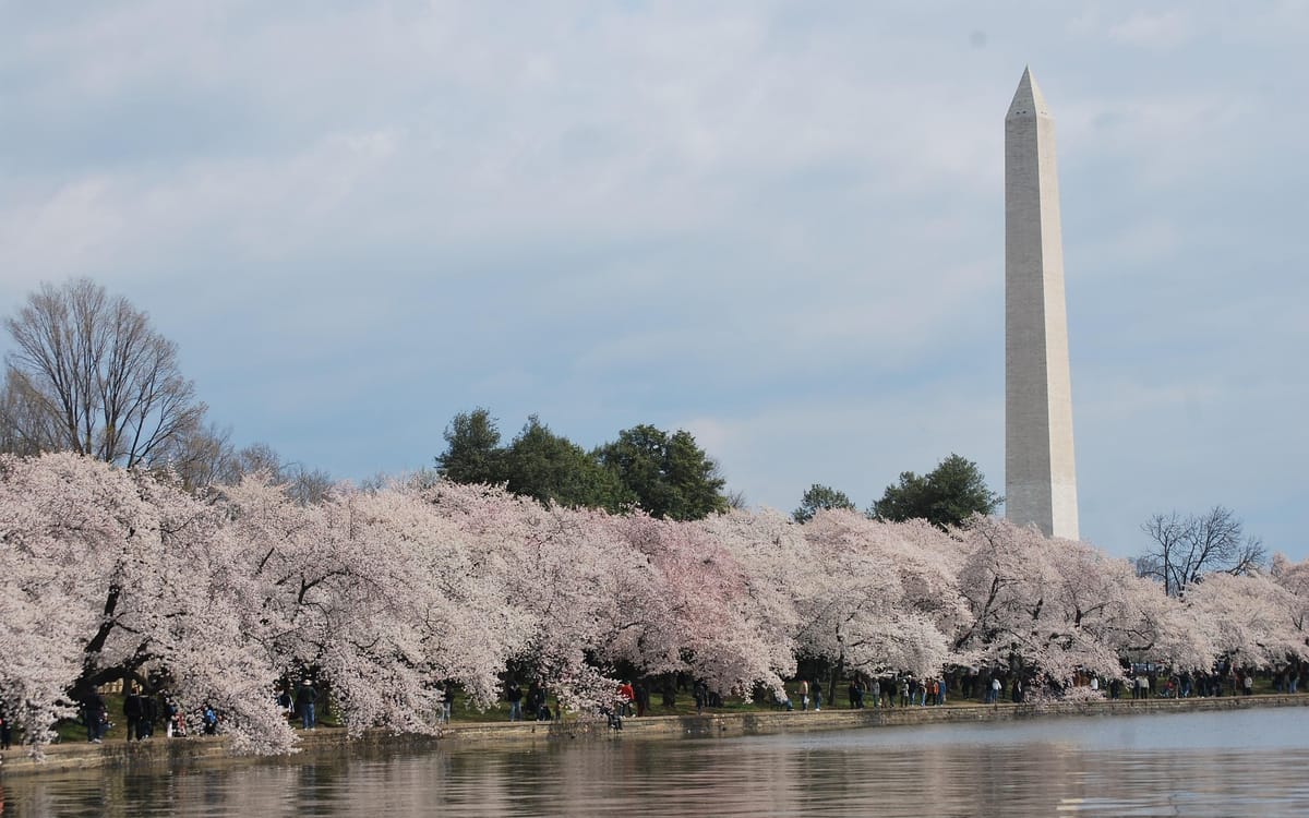Skip the Line Washington Monument Tickets + Guidebook
