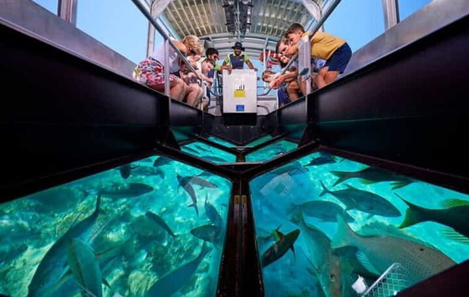 1 Hour Glass Boat with Private Transfer from Sharm El Sheikh