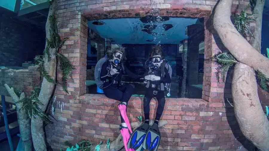 Two scuba divers wearing flippers sit perched on a brick windowsill within a submerged ruin surrounded by artificial trees at Deep Dive Dubai.