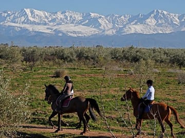 horse ride in the atlas mounatins