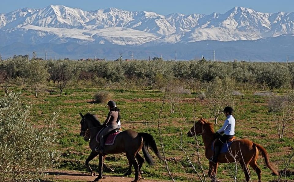 Horseback Riding Adventure in Marrakesh Countryside