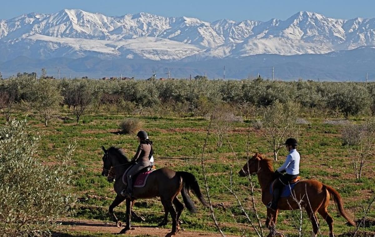 Marrakech Horse Riding