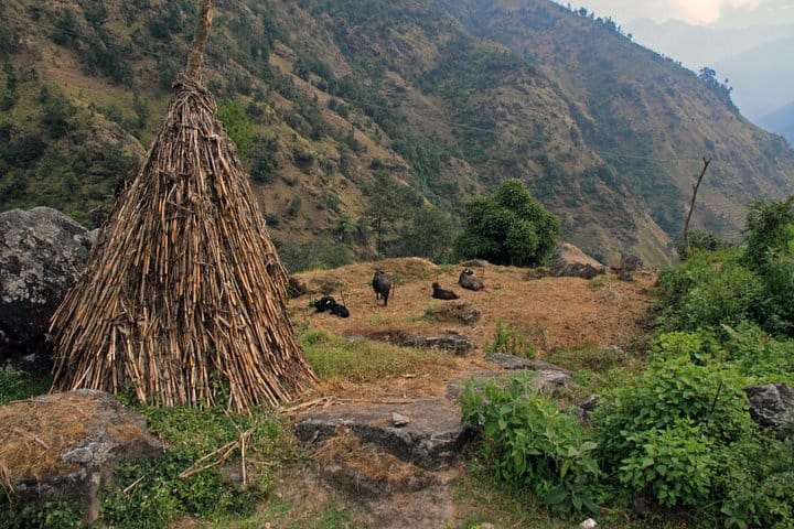 19 Days Mera Peak Climbing & Expedition – One Life-Changing Himalayan Adventure