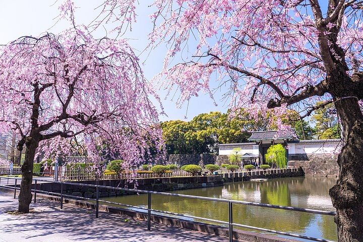 The East Garden of the Imperial Palace 2h Walking Tour