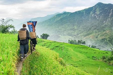 Trekking Adventure through Muong Hoa and Ban Ho Valleys in Sapa