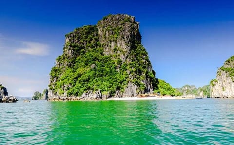 Bai Tu Long Bay Day Cruise From International Cruise Port