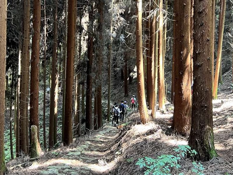 Gami Peak Alpine Trek: 2-Day Private Expedition to Sichuan's Stone-Castle Summit